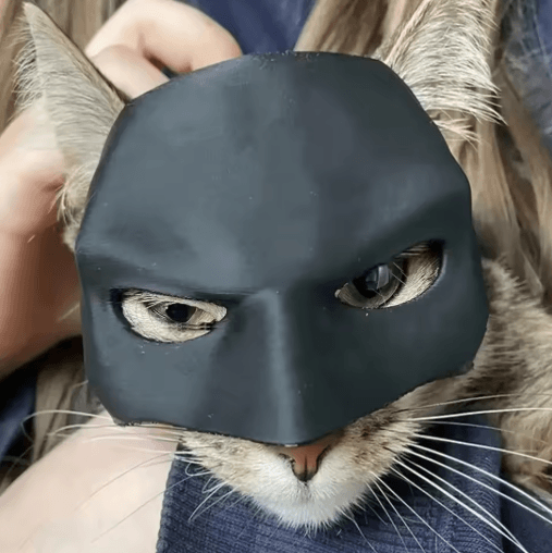 Cat Bat Superhero Mask Cute Matte Cat Avenger Costume Mask for Pets