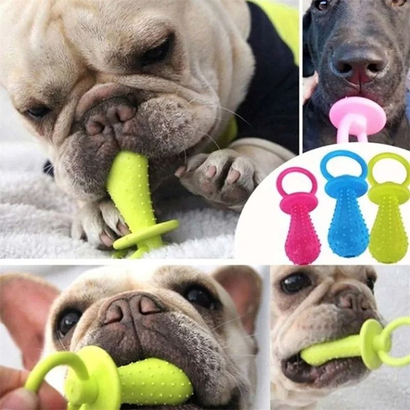 Interactive Rubber Pacifier Pet Toy
