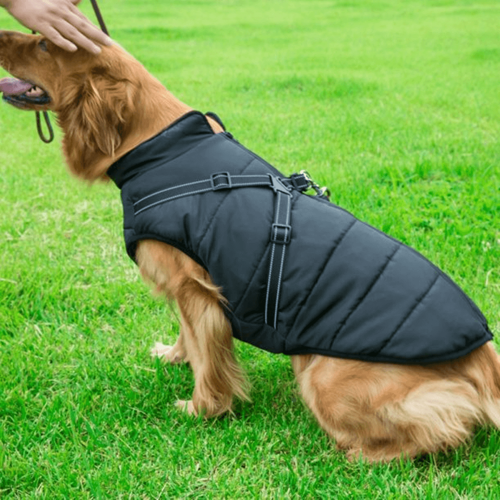 Dog Coat With Zipper on Back