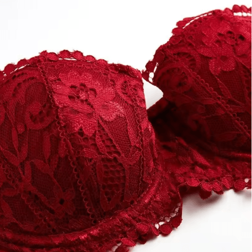 French Style Half Cup Push Up Lace Bra with Deep V Design