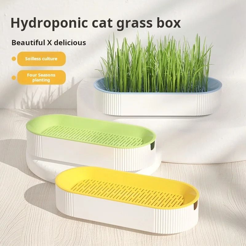 Hydroponic Cat Grass Box for Healthy Catnip Growth