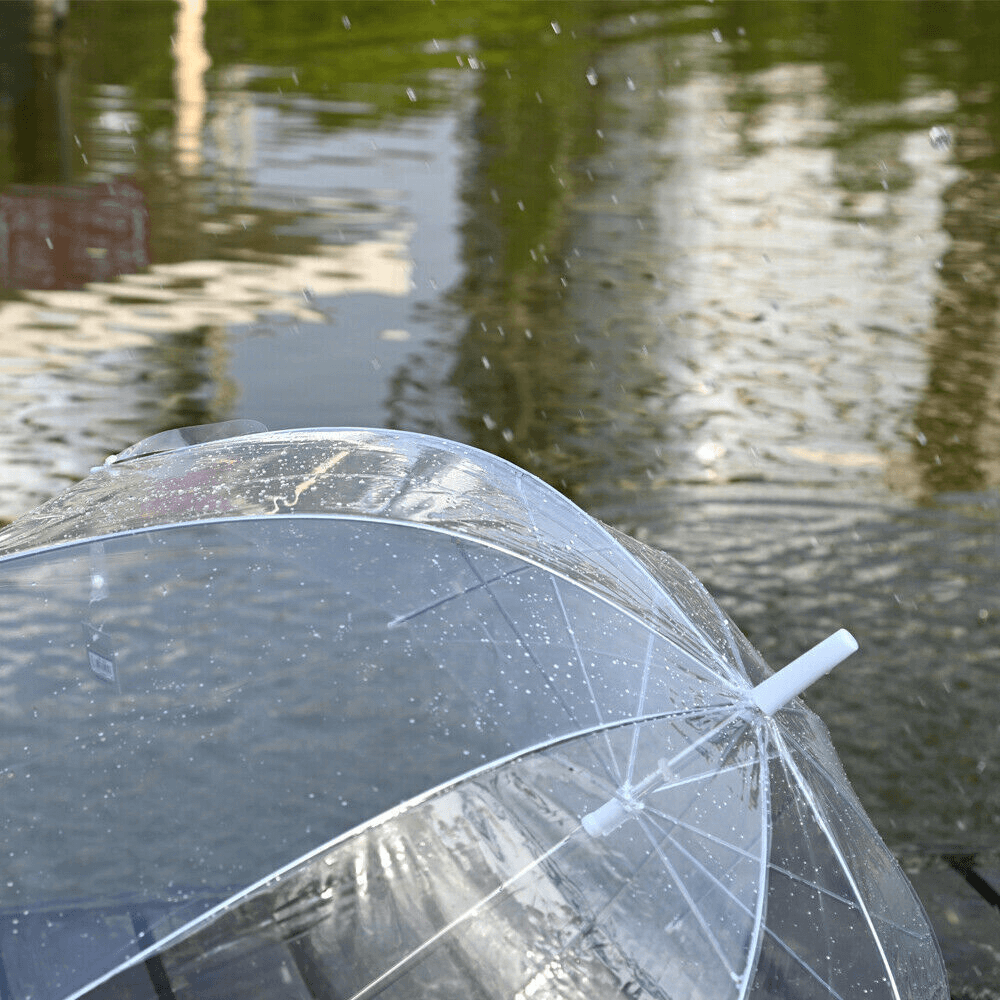 Manual Transparent Bubble Umbrella