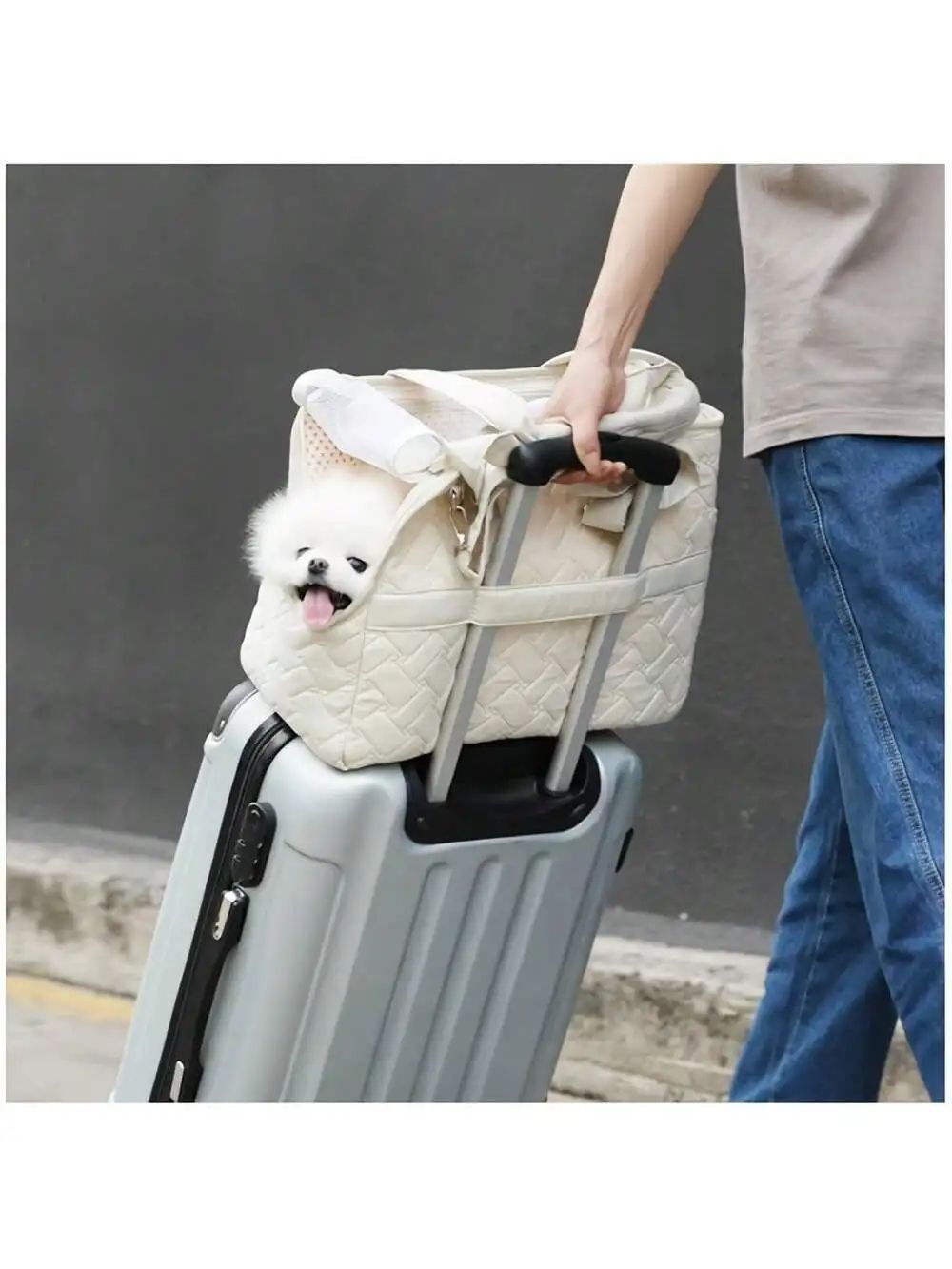 Breathable Pet Tote Carrier Bag