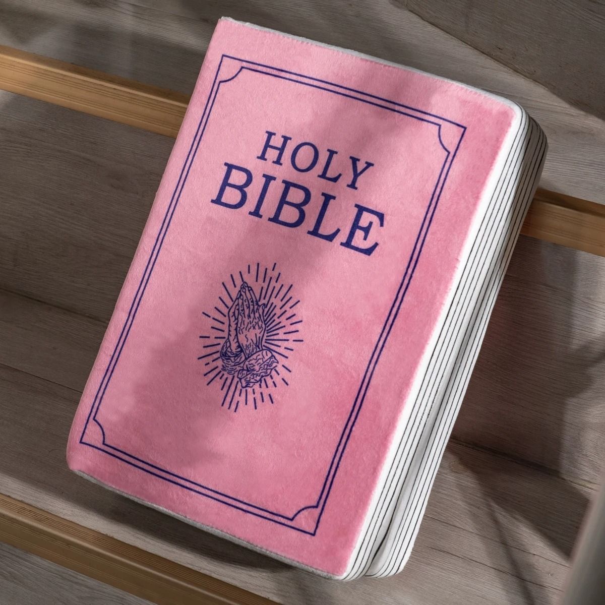 Bible Memory Foam Pillow John 3 Verse Soft Pink Throw Cushion