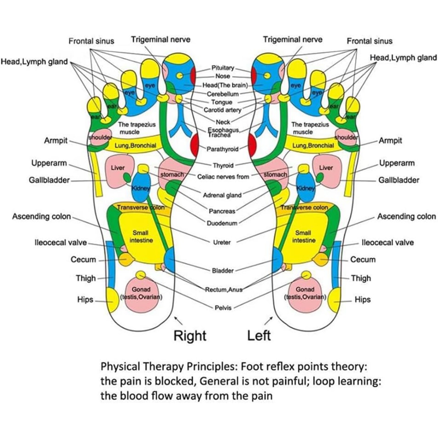 Foot Massager, Reflexology Massage Pad, Acupressure Pad, Health Care Walking Foot Pressure Pad, Foot Reflexology Massage