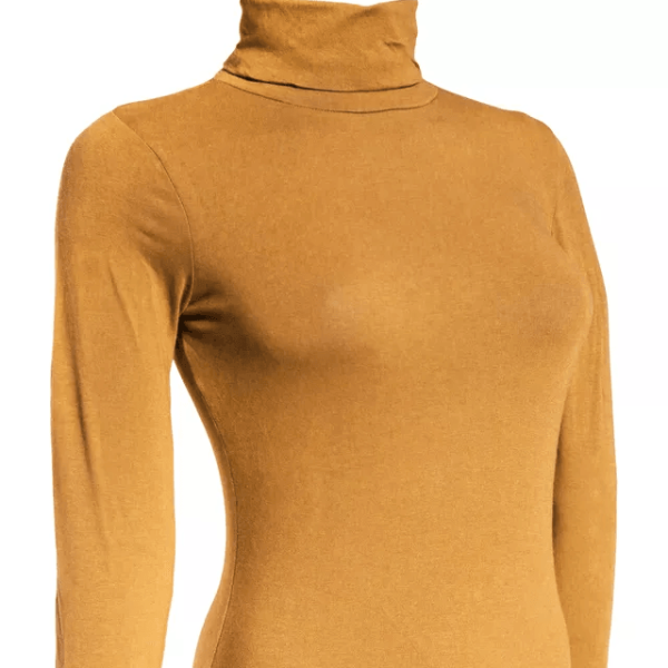 Classic Women Turtleneck Long Sleeve Shirt, Stretchy Basic Layering Top