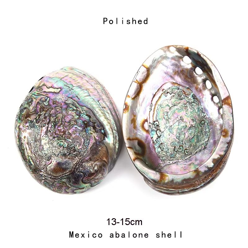 Paua Abalone Shell Smudge Kit with Tripod Stand Natural Sage Cleansing Bowl 4.33–5.12in