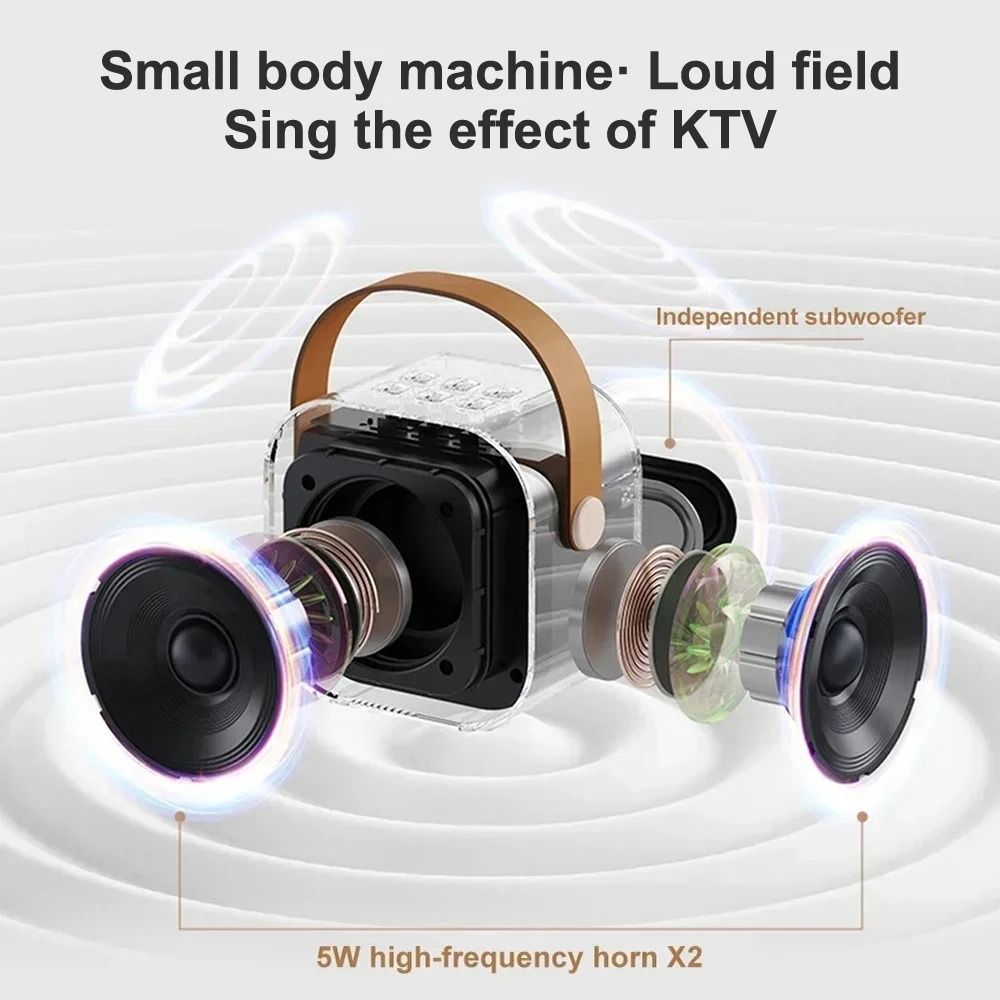 Professional Karaoke Bluetooth Speaker with Wireless Microphone