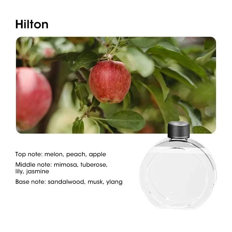Mini Aromatherapy Air Purifying Diffuser – Wall-Mounted Fragrance Humidifier with Hilton Lavender Oil