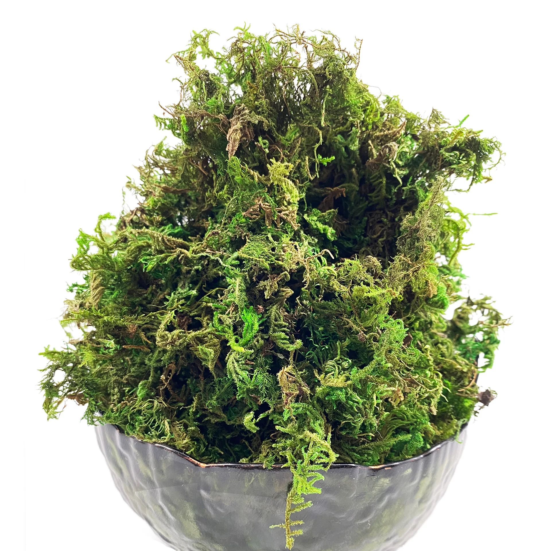 Artificial Green Moss for Plants – Faux Peat Moss Potting Mix & Craft Decor