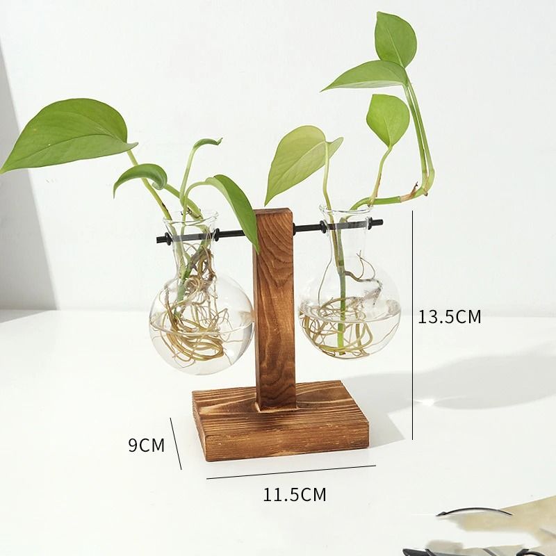 Hydroponic Plant Vase with Wooden Stand