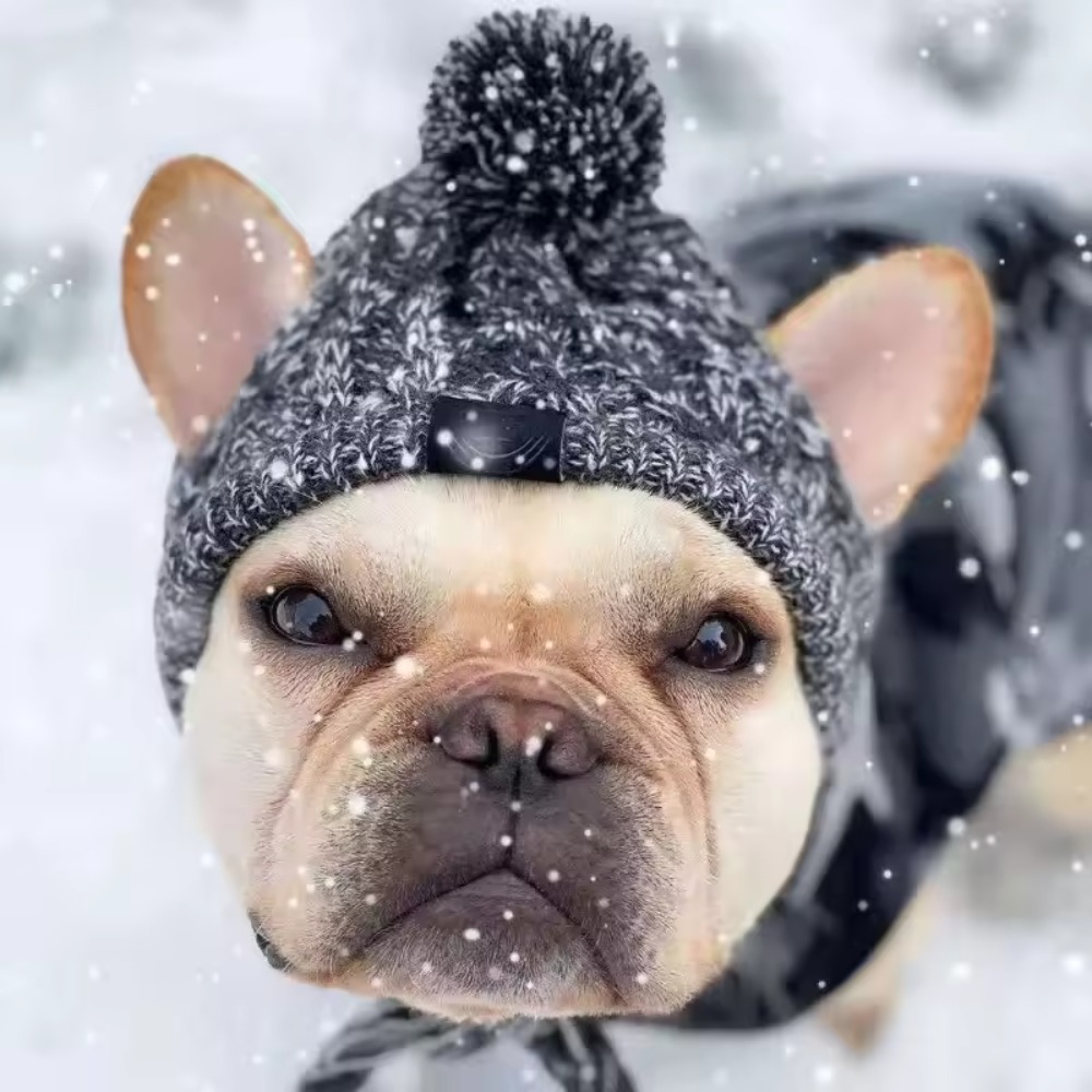 Windproof Pet Hat, Knitted French Bulldog Hat, Outdoor Snow Hat, Chihuahua Hat, Plush Ball Pet Hat Wool Knitted
