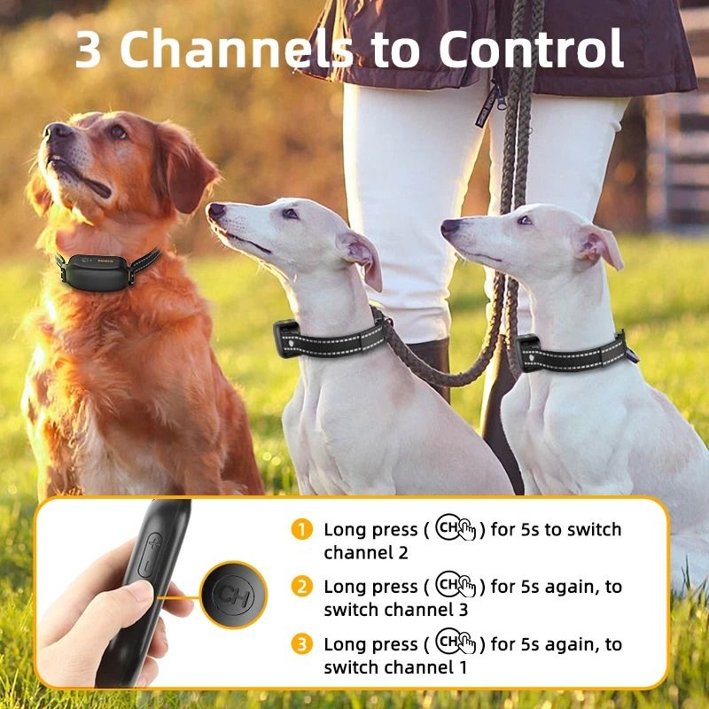 Electric Dog Training Collar with Remote and Waterproof Design