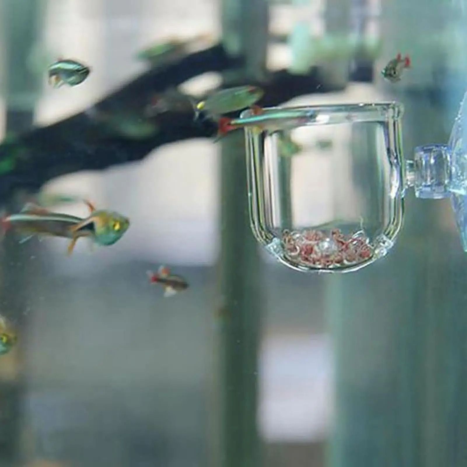 Acrylic Aquarium Plant Cup with Suction Holder