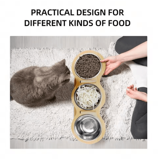 3-in-1 Raised Cat Feeder with Tilted Stainless Steel Bowls