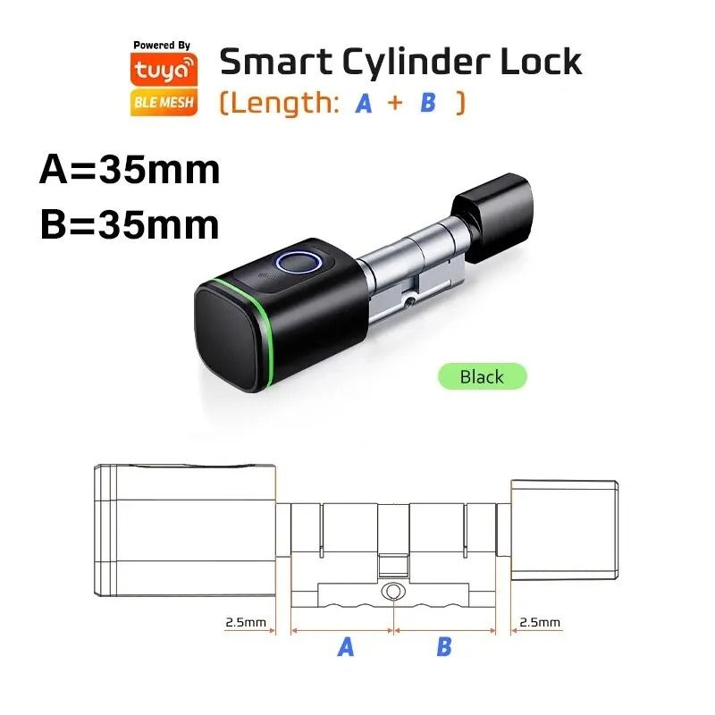 Raykube V1 Smart Cylinder Lock Tuya BLE Fingerprint