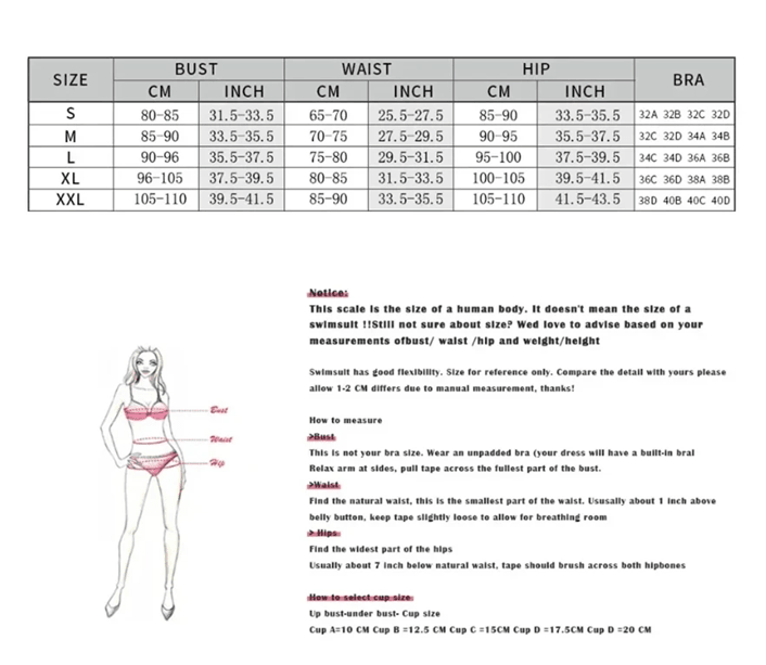 Contrast Mesh One Piece Swimsuit – V Neck Tummy Control Backless Swimwear for Women