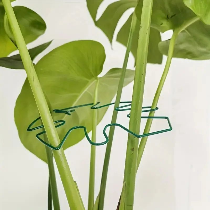 Large Hanging Plant Stand with Iron Hook