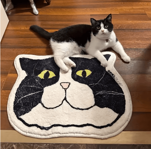 Cute Cat Floor Mat Non Slip Waterproof Bathroom & Home Rug