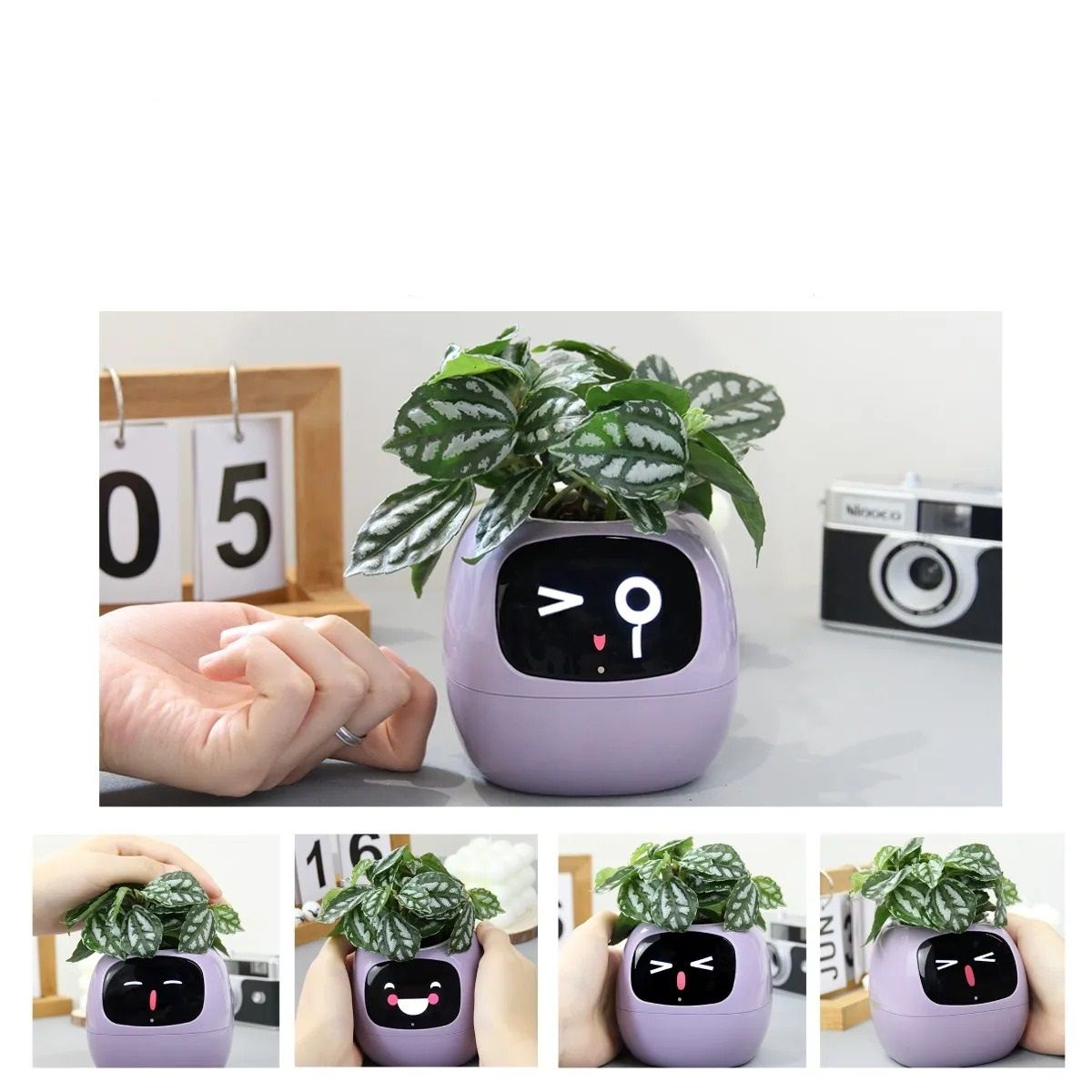 Interactive AI Smart Planter With Expressions And Sensor Technology