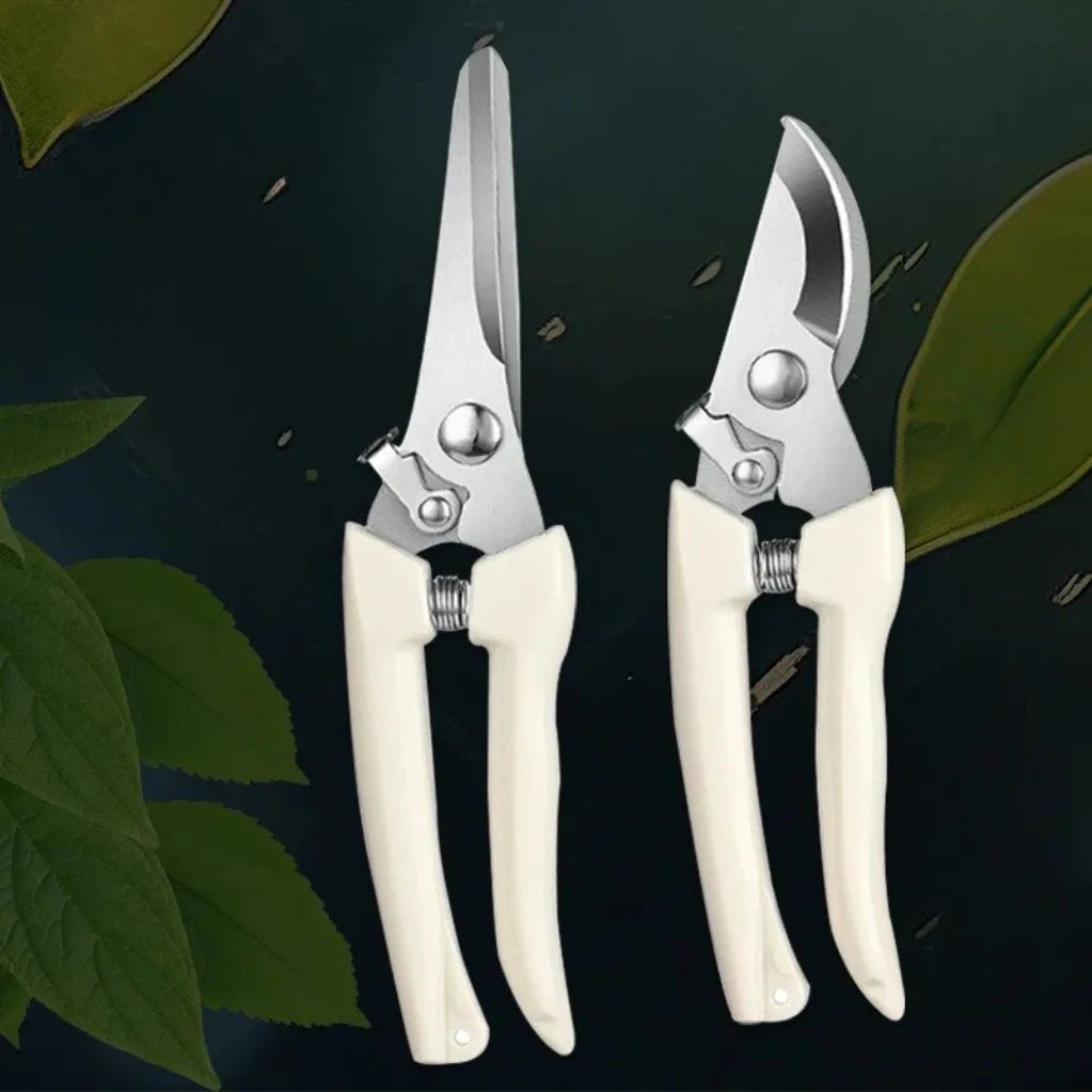 Stainless Steel Fruit Picking & Pruning Shears Gardening Scissors for Tree Trimming, Flower Cutting & Grafting Work