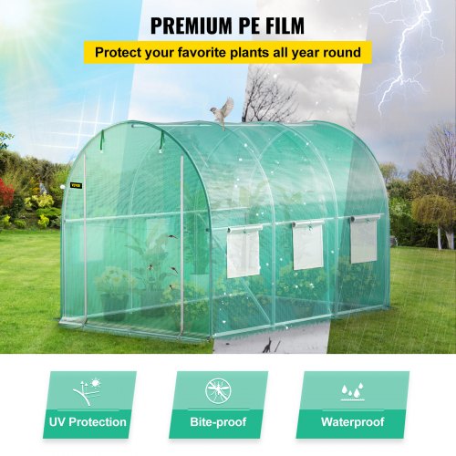 Walk-In Greenhouse 9.8 x 6.6 x 6.6 ft, Waterproof PE Cover, Sturdy Galvanized Frame & 6 Mesh Windows