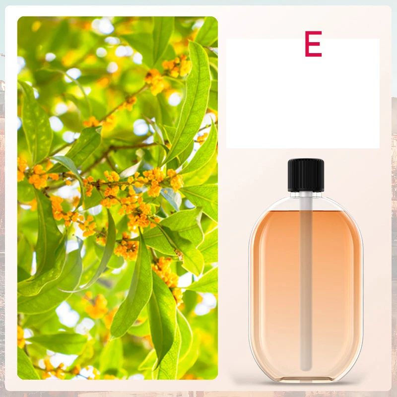 Automatic USB Essential Oil Diffuser