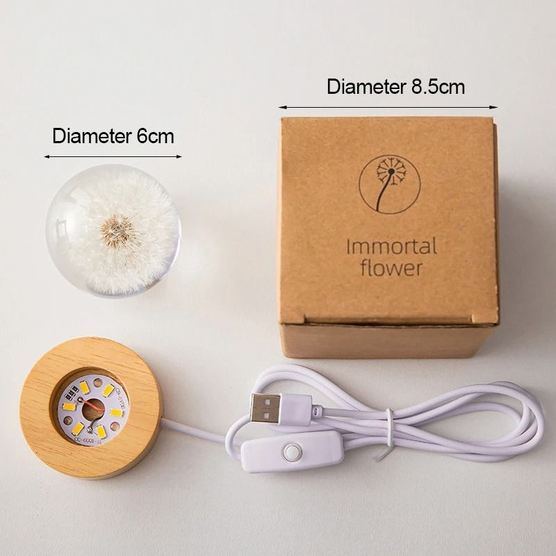 3D Dandelion Crystal Ball with Wood Stand Luminous Flower Sphere