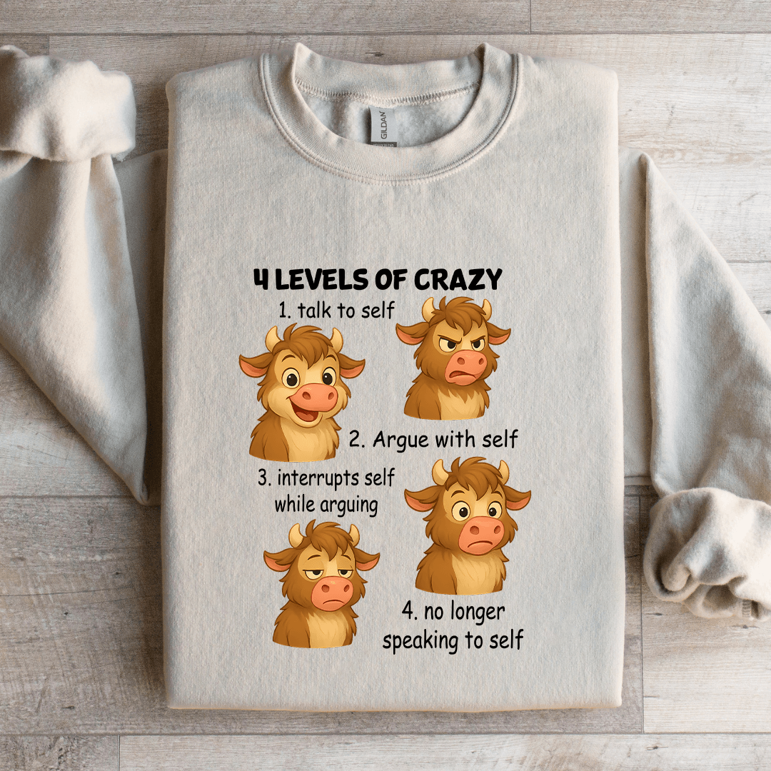4 Levels Of Crazy 1 Talk To Self Sweatshirt