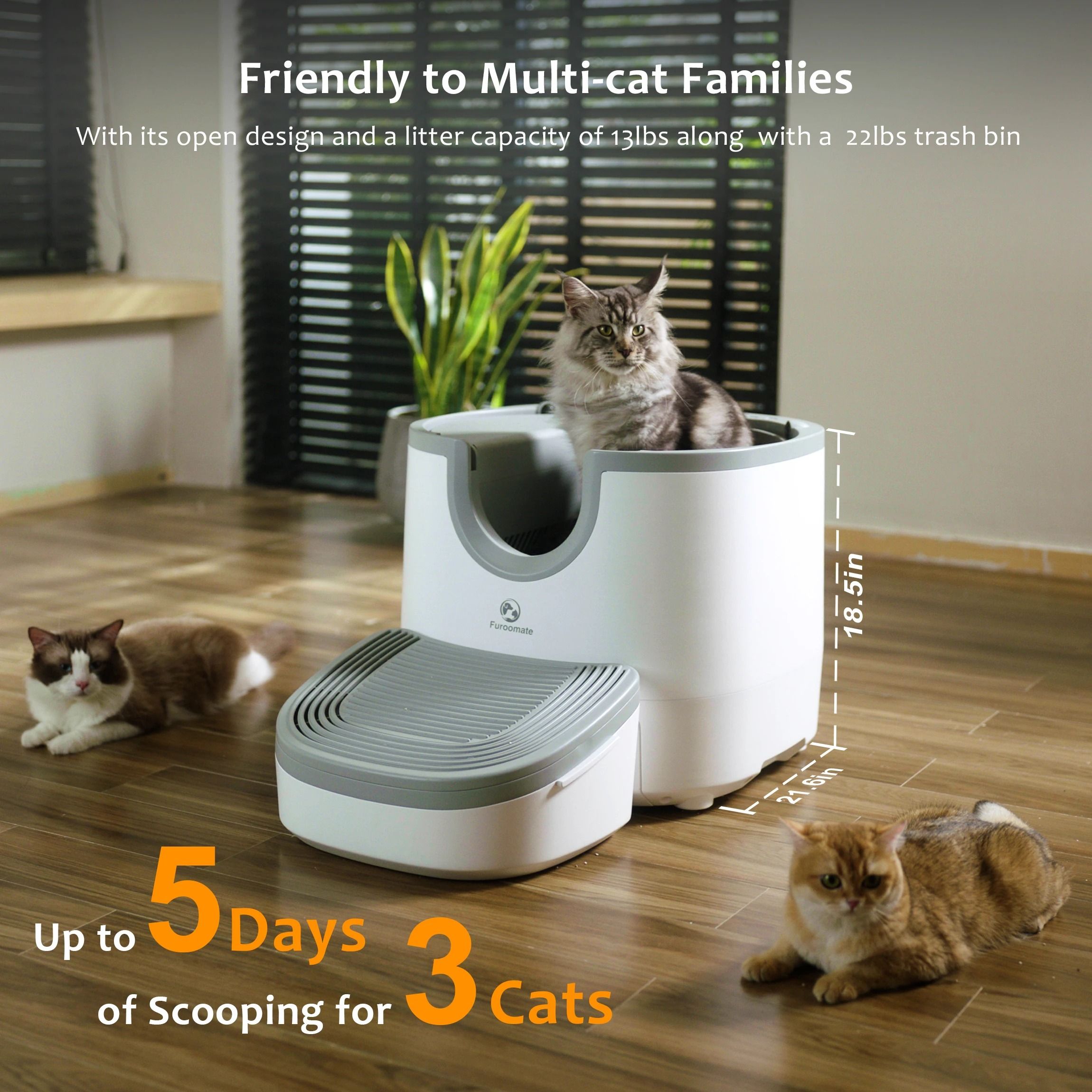 Automatic Open Top Self Cleaning Cat Litter Box with Advanced Safety Sensors