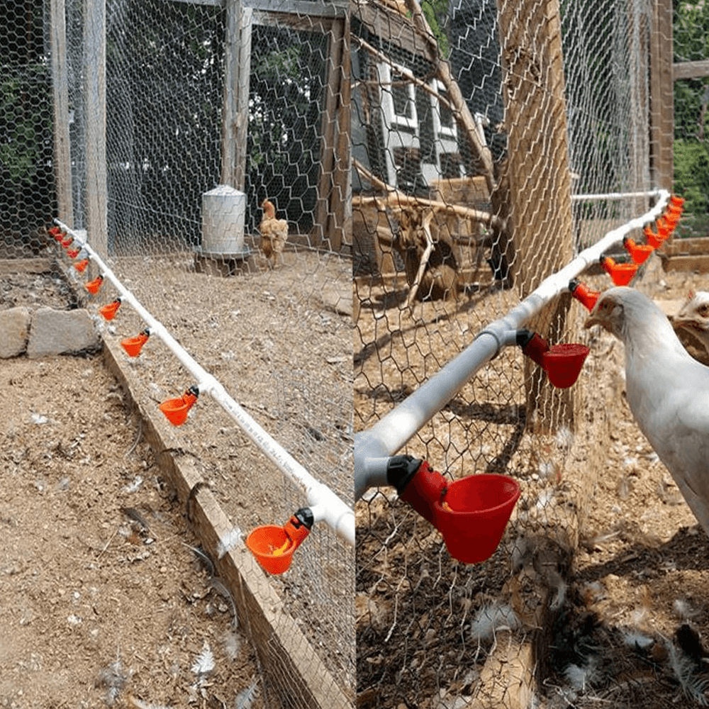 Automatic Chicken Water Feeder Cups