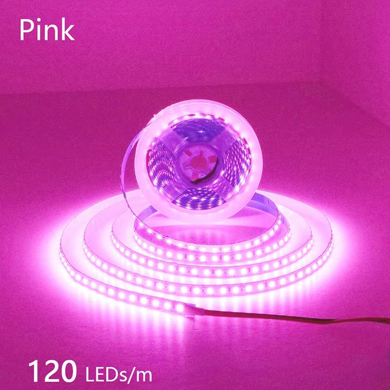 LumiFlex 2835 LED Strip Light – 5M Flexible Waterproof Light Strip DC12V/24V, 300–1200 LEDs, Cuttable Home Lighting Bar
