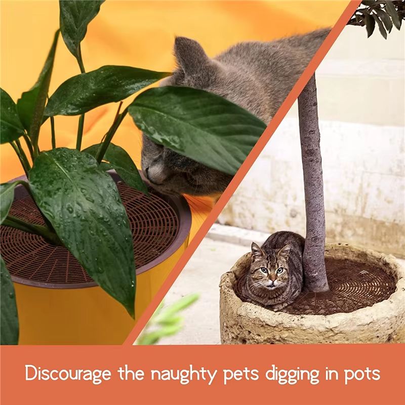 Cat-Proof Plant Pot Soil Guard with Fixing Nails