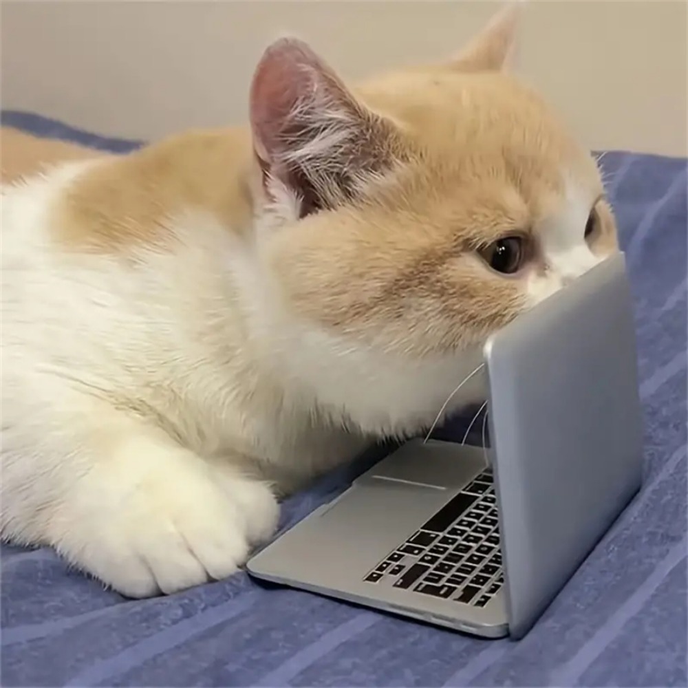 Interactive Mini Dollhouse Laptop Toy for Cats Tiny Fake Computer Mirror for Kitten Play