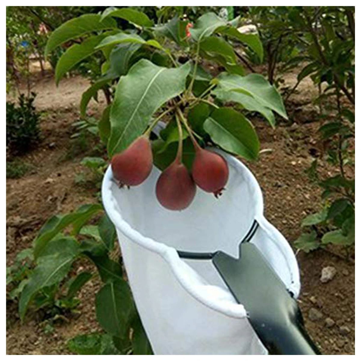 Fruit Picker Tool with Blade and Catch Bag for Easy Tree Harvesting