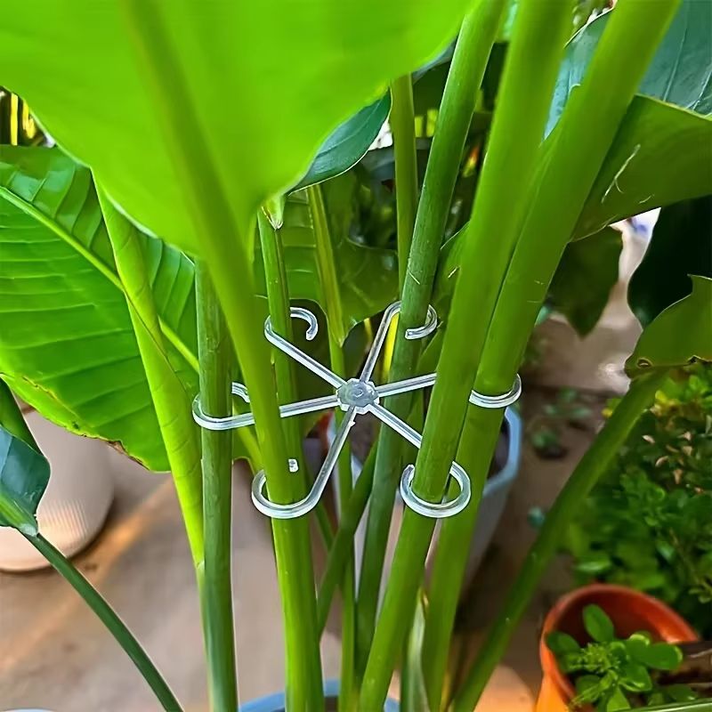 Reusable plant stem support stakes plastic plant trellis hoops for climbing houseplants