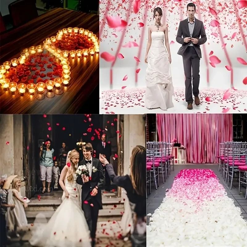 Vibrant Silk Romance Petal Collection