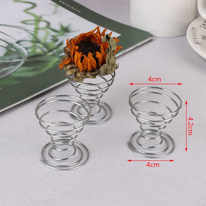 Modern Metal Air Plant Holder Set Flexible Tillandsia Display Stand Decor