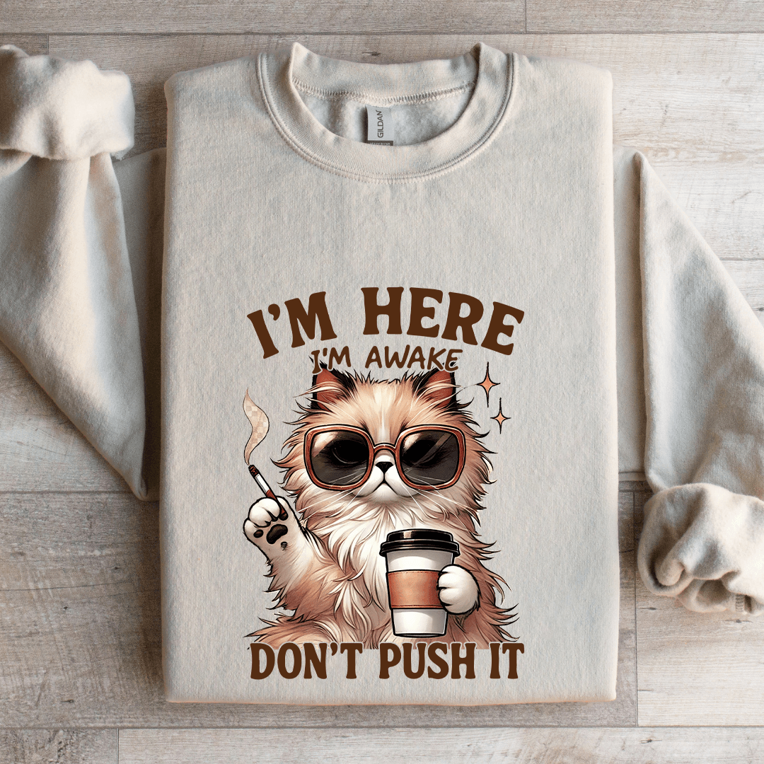 I'm Here I'm Awake Don't Push It Sweatshirt