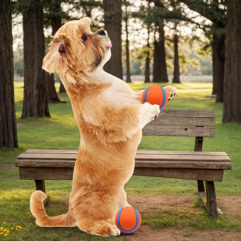 Gnaw-Resistant Durable Rubber Dog Chew Balls Interactive Training