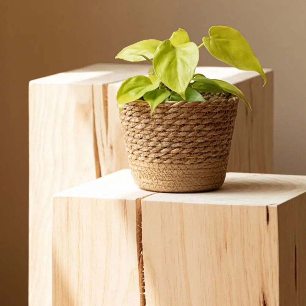 Handmade Straw Weaving Gallery | High-Fidelity Woven Rattan Planter & Professional Botanic Storage Tech