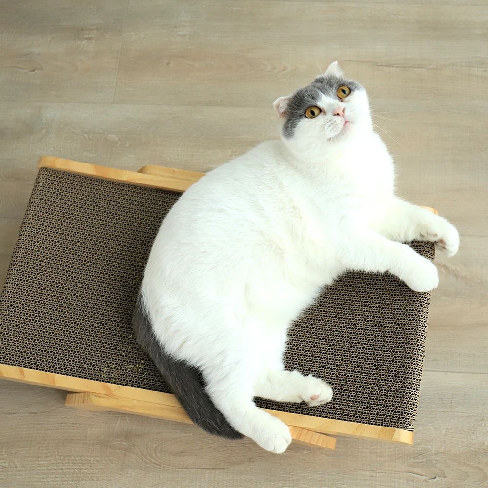 Wooden 3 in 1 Cat Scratcher Bed