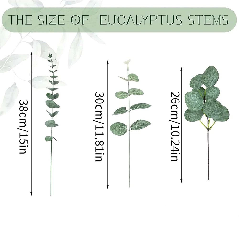 Premium Mixed Eucalyptus Greenery Stems Bulk Set