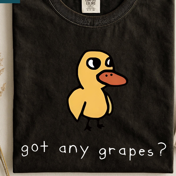 Got Any Grapes Shirt, Funny Duck Sweater, Funny Women's Sweatshirt, Duck Song Tee, I'm Overstimulated