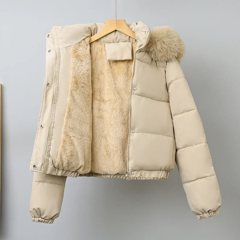 Short Thermal Winter Parka | Thickened Velvet Hooded Jacket
