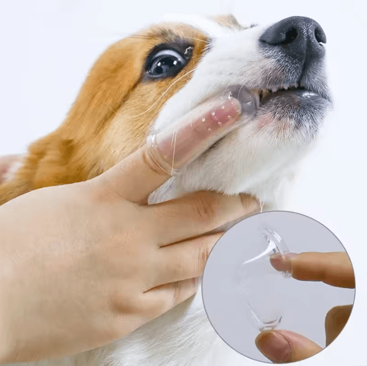 Super Soft Pet Finger Toothbrush – Silicone Pet Teeth Brush for Dogs and Cats with Bad Breath Dog Brush and Tartar Care