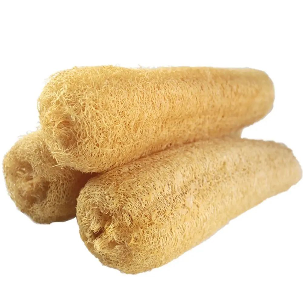 Natural Loofah Luffa Sponge Long Plant-Based Dishwashing & Bath Scrubber | Non-Stick Safe, Super Absorbent Pot Brush