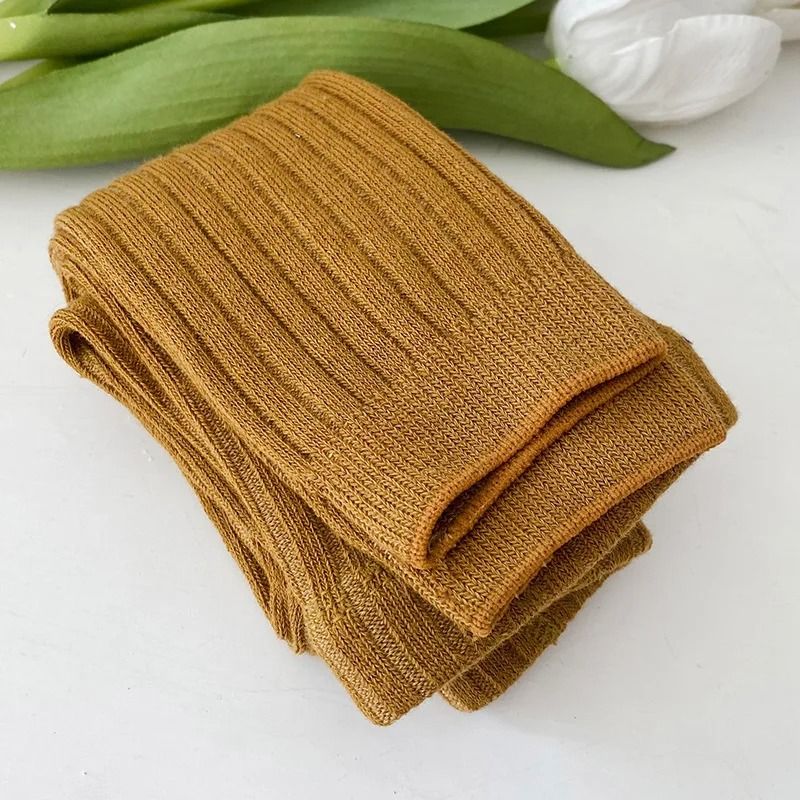Girls Toddler Basic Ribbed Sweater and Leggings Set