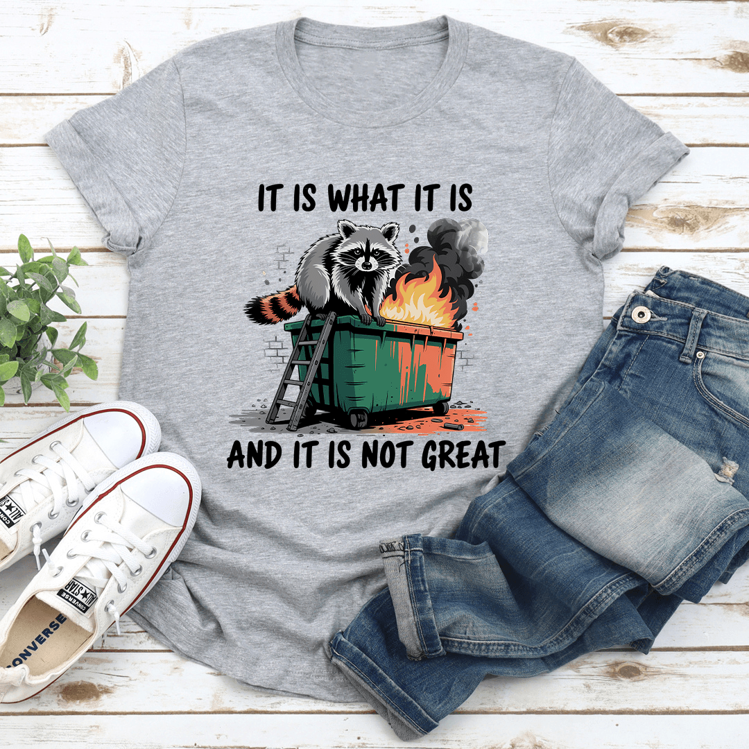 It Is What It Is And It Is Not Great Tee
