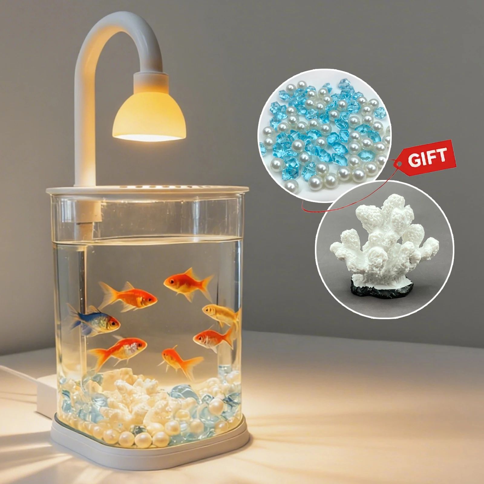 Desktop Aquarium Starter Kit with LED Light – Small Betta Fish Tank for Kids, Home & Office